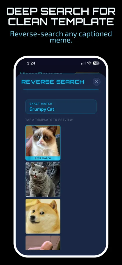 Reverse search screen showing an exact match for the Grumpy Cat template and similar templates below it.